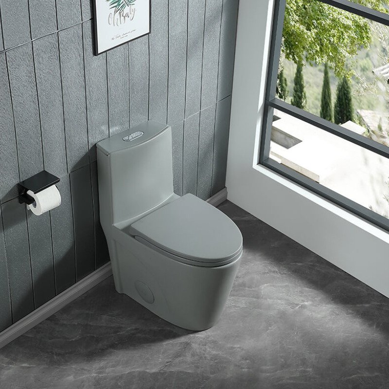 1.1/1.6 GPF Dual Flush 1-Piece Elongated Toilet 