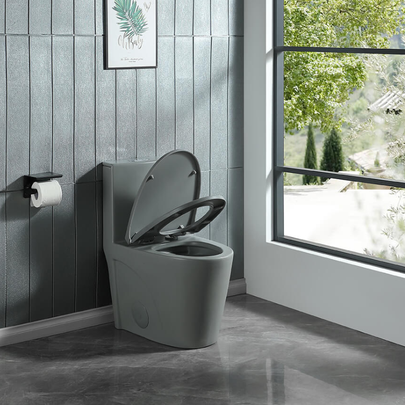 1.1/1.6 GPF Dual Flush 1-Piece Elongated Toilet 