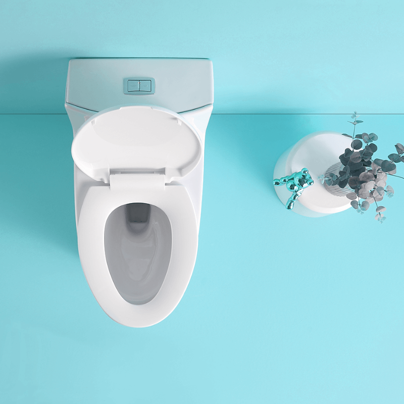 1.1/1.6 GPF Dual Flush 1-Piece Elongated Toilet with Soft-Close Seat 