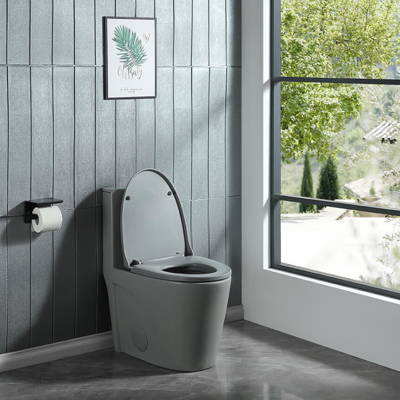 1.1/1.6 GPF Dual Flush 1-Piece Elongated Toilet with Soft-Close Seat 