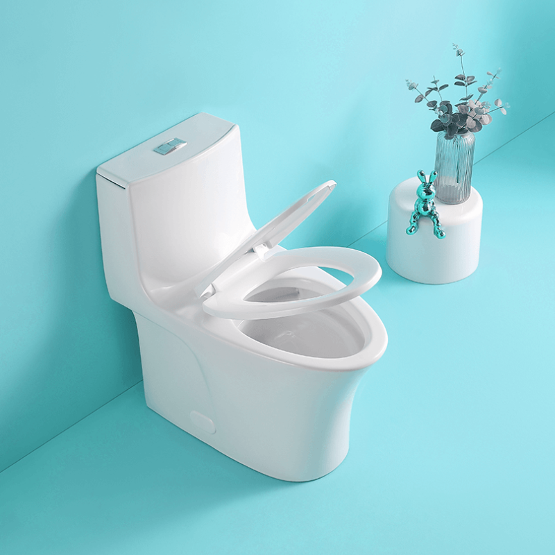 1.1/1.6 GPF Dual Flush 1-Piece Elongated Toilet with Soft-Close Seat 