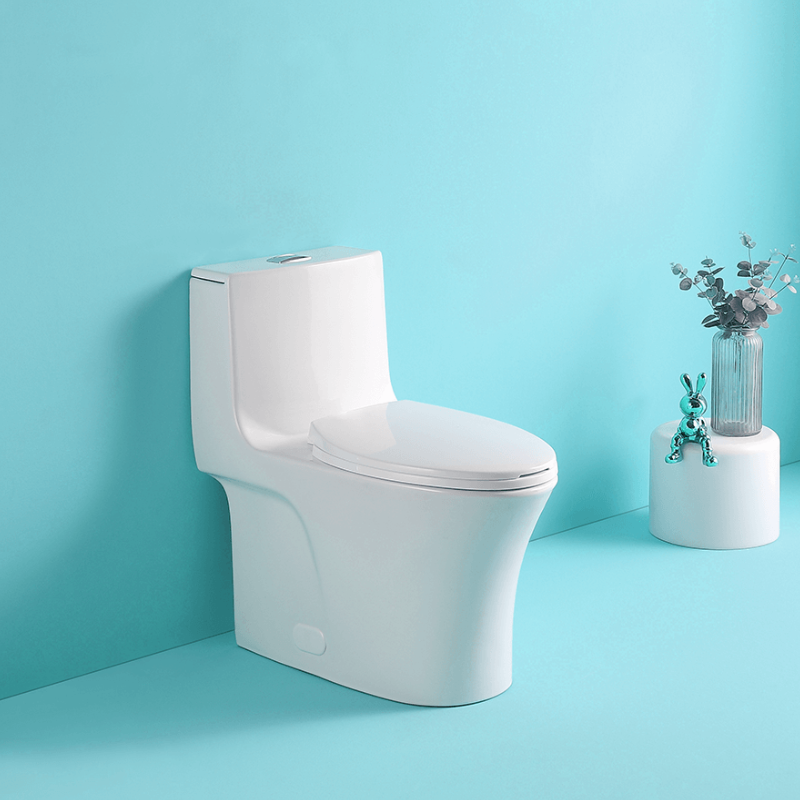 1.1/1.6 GPF Dual Flush 1-Piece Elongated Toilet with Soft-Close Seat 