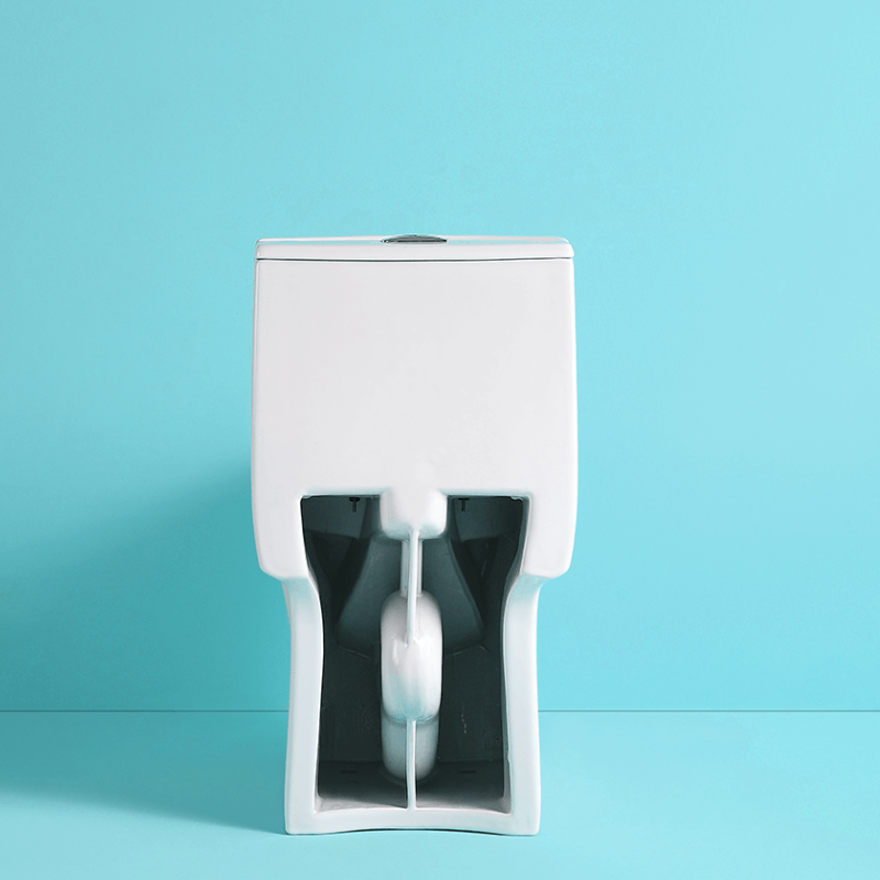 Toilet with Soft-Close Seat 