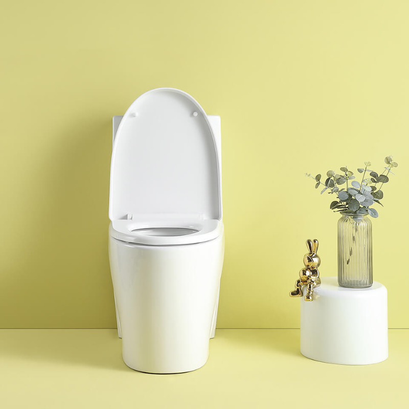 1.1/1.6 GPF Dual Flush Elongated 1-Piece Toilet with Soft-Close Seat