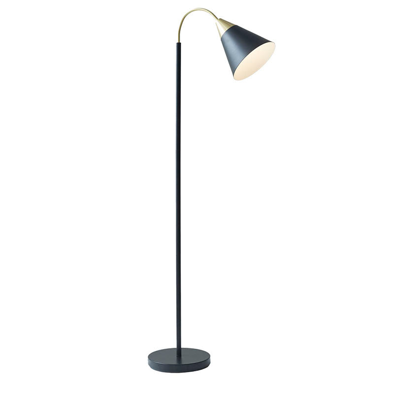 Matte Black Arched Metal Floor Lamp