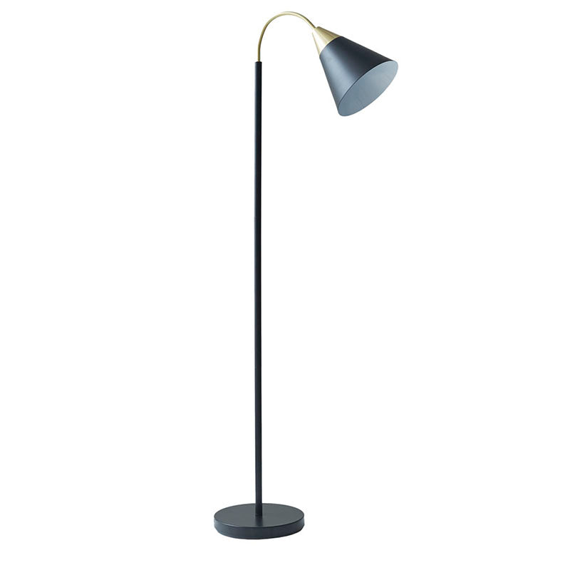 Matte Black Arched Metal Floor Lamp