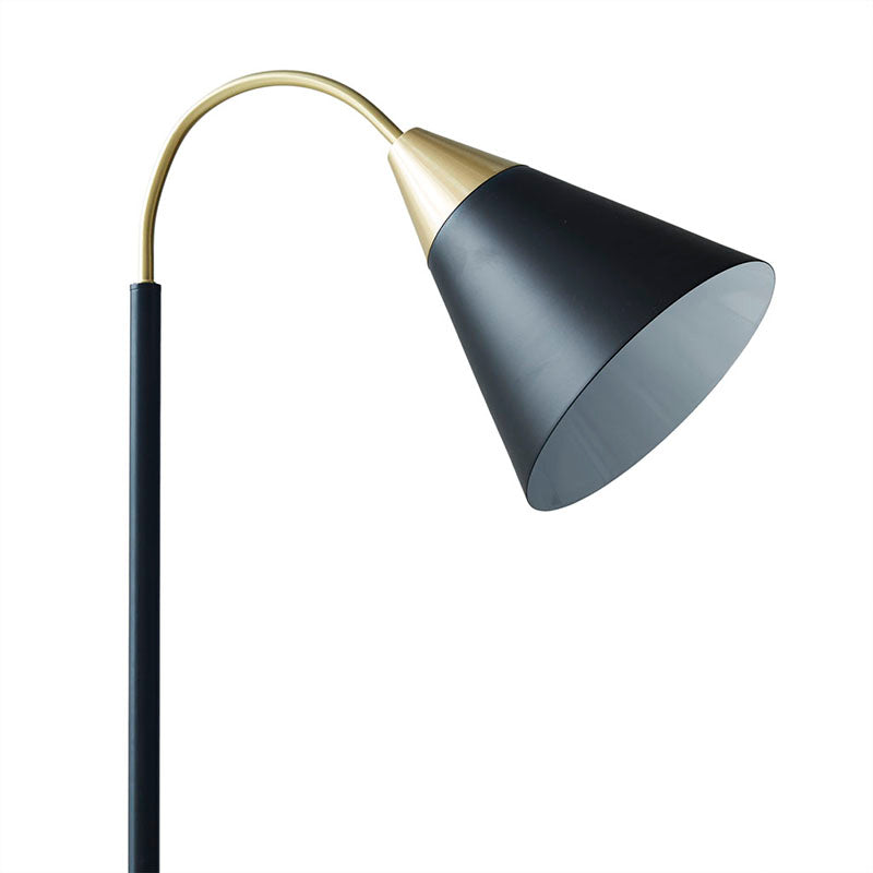 Matte Black Arched Metal Floor Lamp