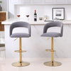 20" Gray Swivel Velvet Counter Height Bar Stool with Back & Footrest (Set of 2)