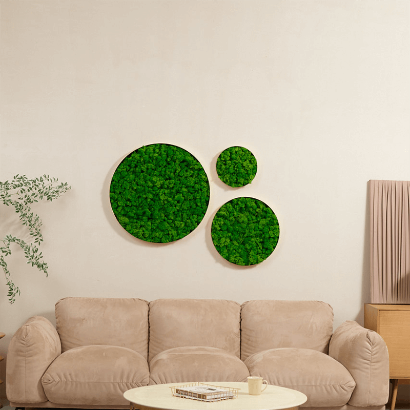 24" Green Round Metal Frame Moss Wall Decor - Set of 3