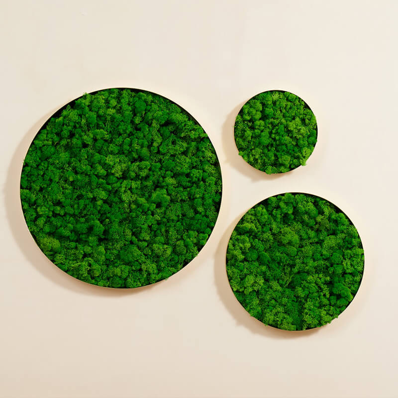 24" Green Round Metal Frame Moss Wall Decor - Set of 3