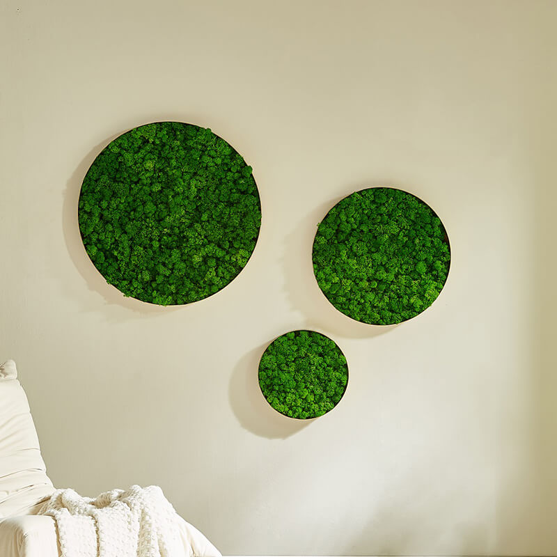 24" Green Round Metal Frame Moss Wall Decor - Set of 3