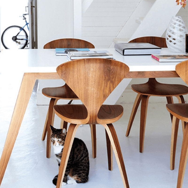 Wood dining chairs in walnut finishn by bright and cozy study table