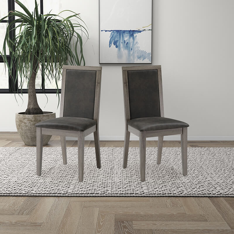 Dining chair set of 2 kept side by side in a living space