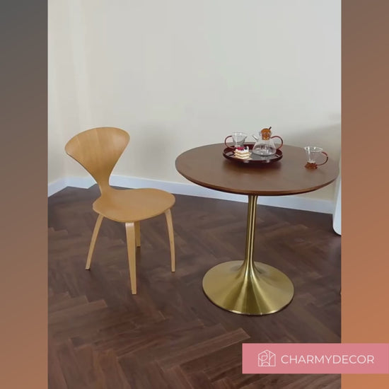 Video of dining chair set of 2 in an intimate dining setting