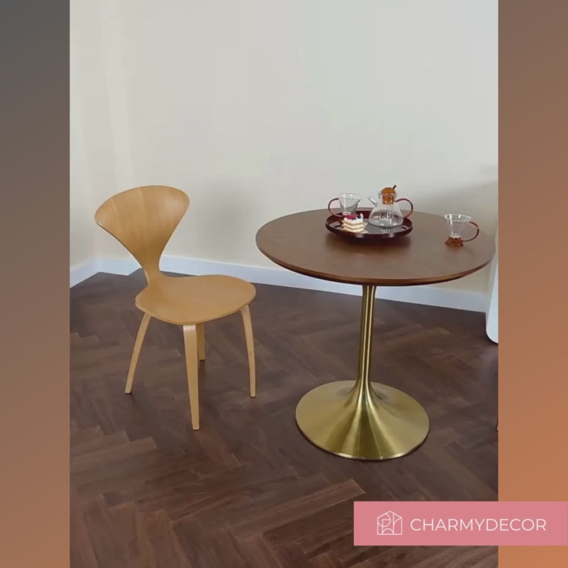 Video of dining chair set of 2 in an intimate dining setting