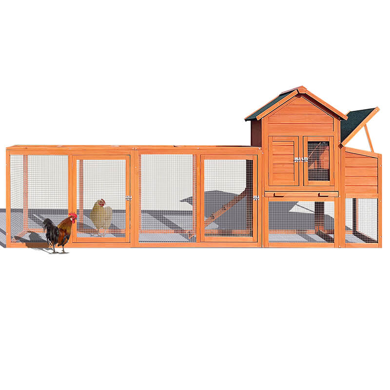 Outdoor Chicken Coop