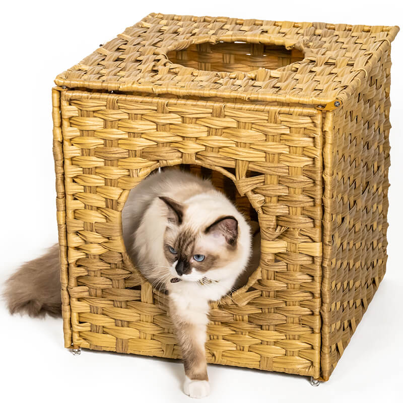 15.7" Natural Rattan Cat Bed with Rattan Ball and Cushion