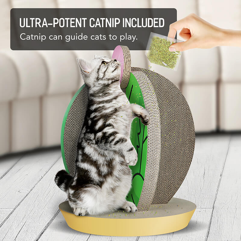 15" Green Cactus Shape Cat Scratching Board