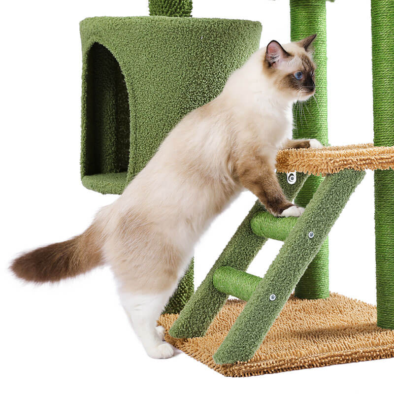 19" Multi Level Green Desert Cactus Cat Tree 