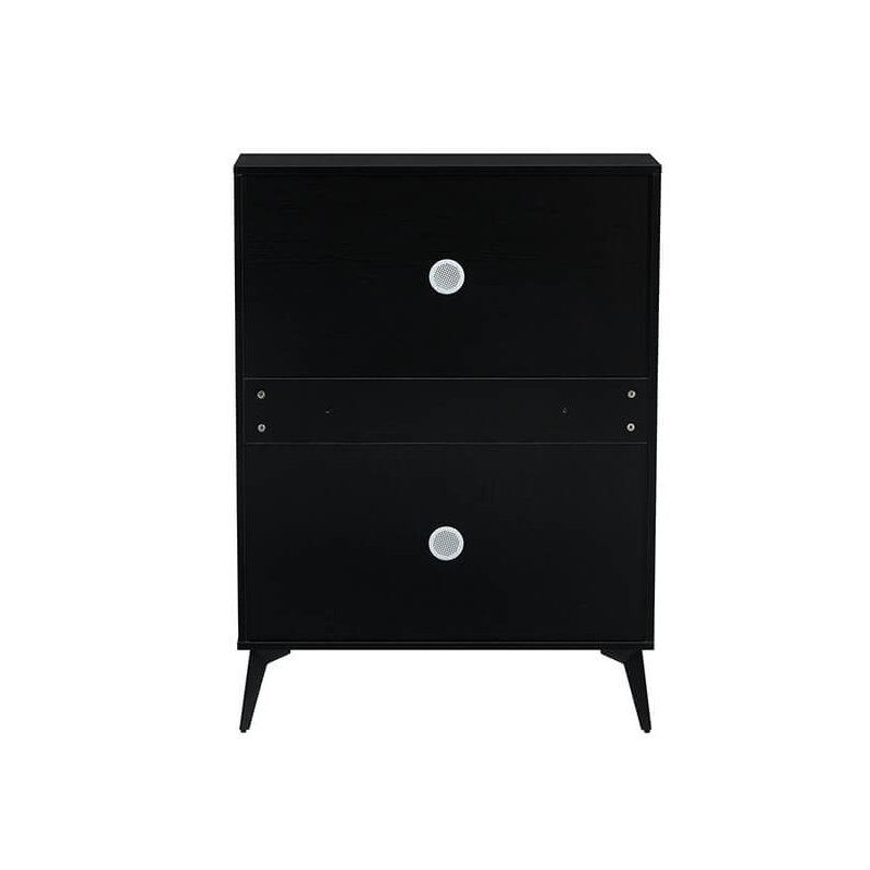 Modern Black Wooden Shoe Storage Cabinet