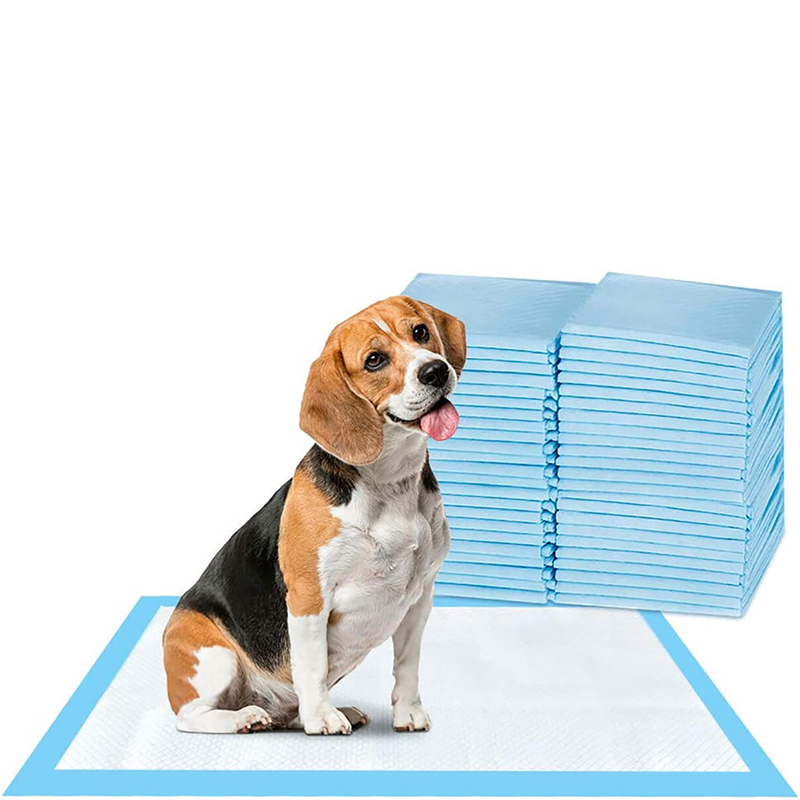 Super-Absorbent Waterproof Dog Training Pad