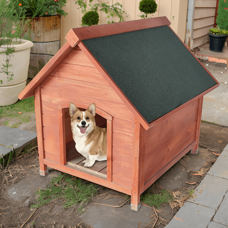 Golden Wooden Outdoor Dog Pet House