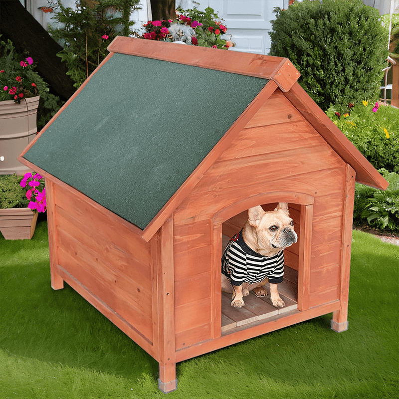 Golden Wooden Outdoor Dog Pet House