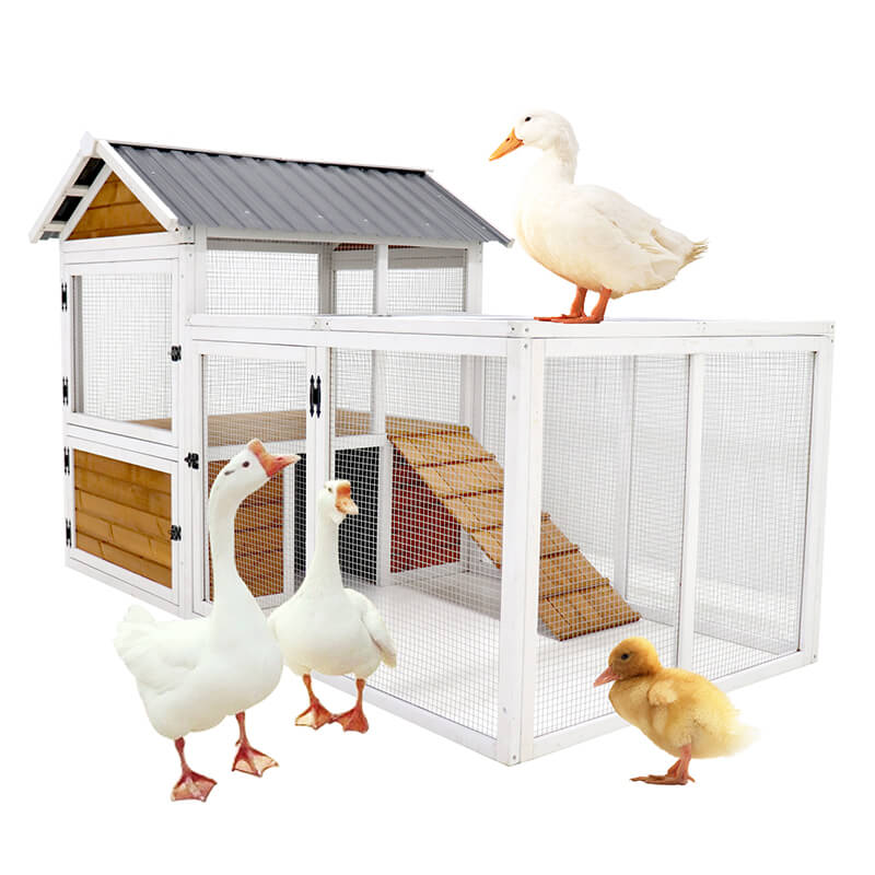 Wooden Coop