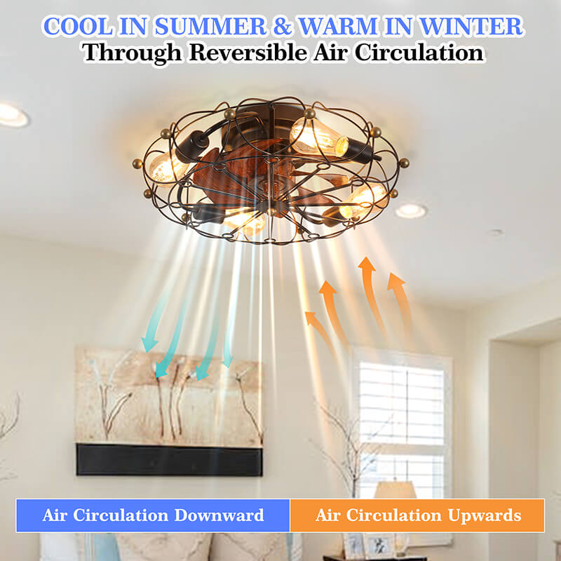 Black Low Profile Caged Ceiling Fan