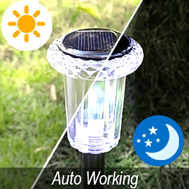 Solar Stainless Steel Waterproof Landscape Light