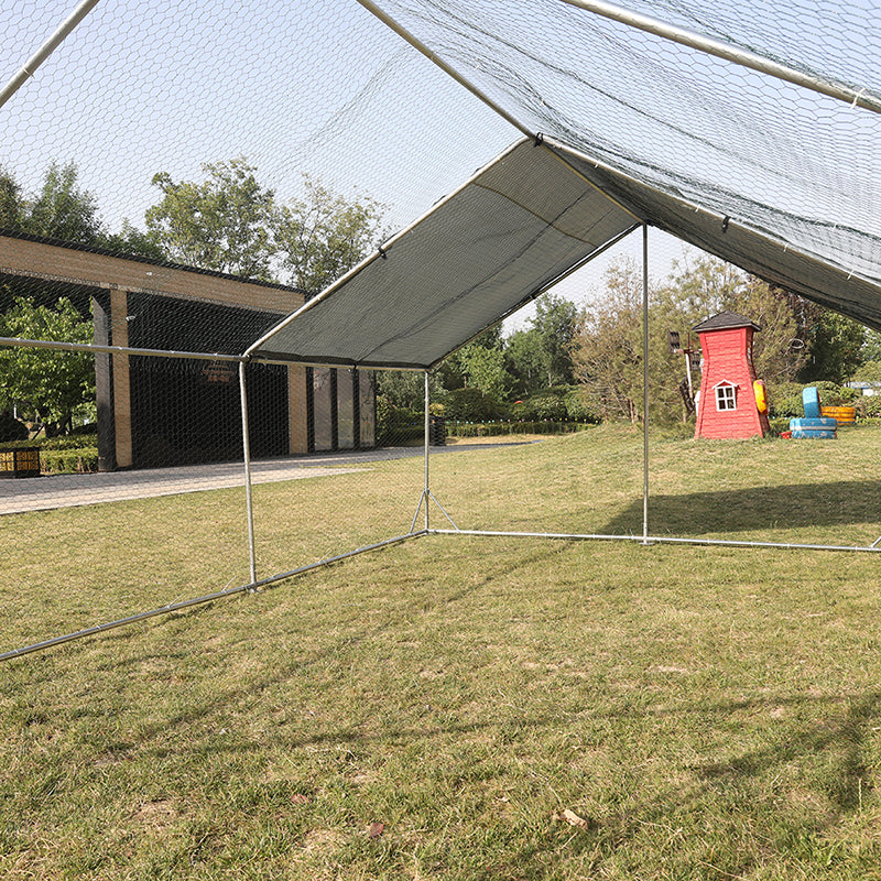 Walk-in Chicken Coop 