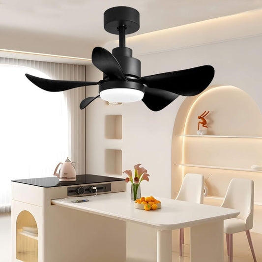 28" LED 5-Blade Black Ceiling fan