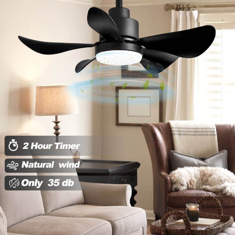 28" LED 5-Blade Black Ceiling fan