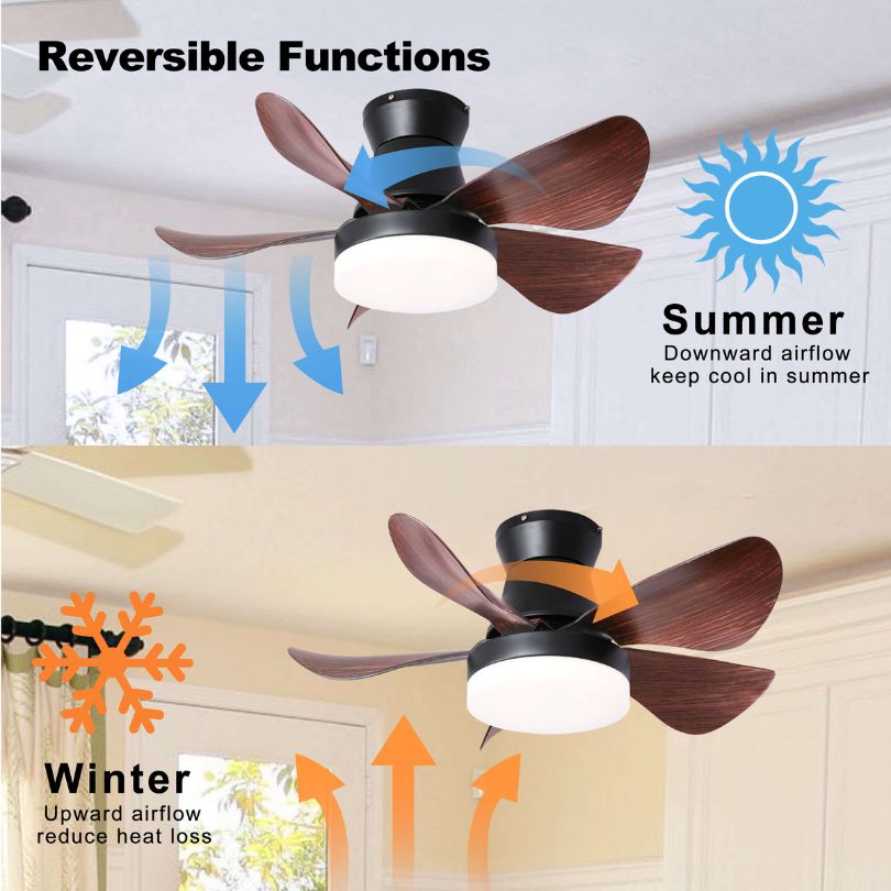 decorative lighting fixture with fan