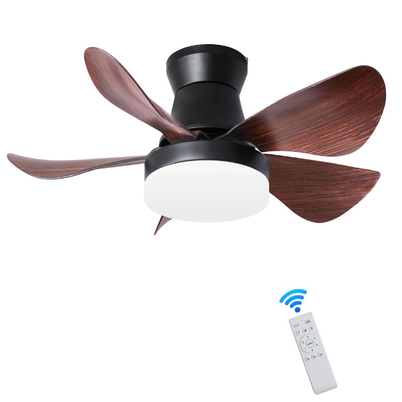 decorative lighting fixture with fan