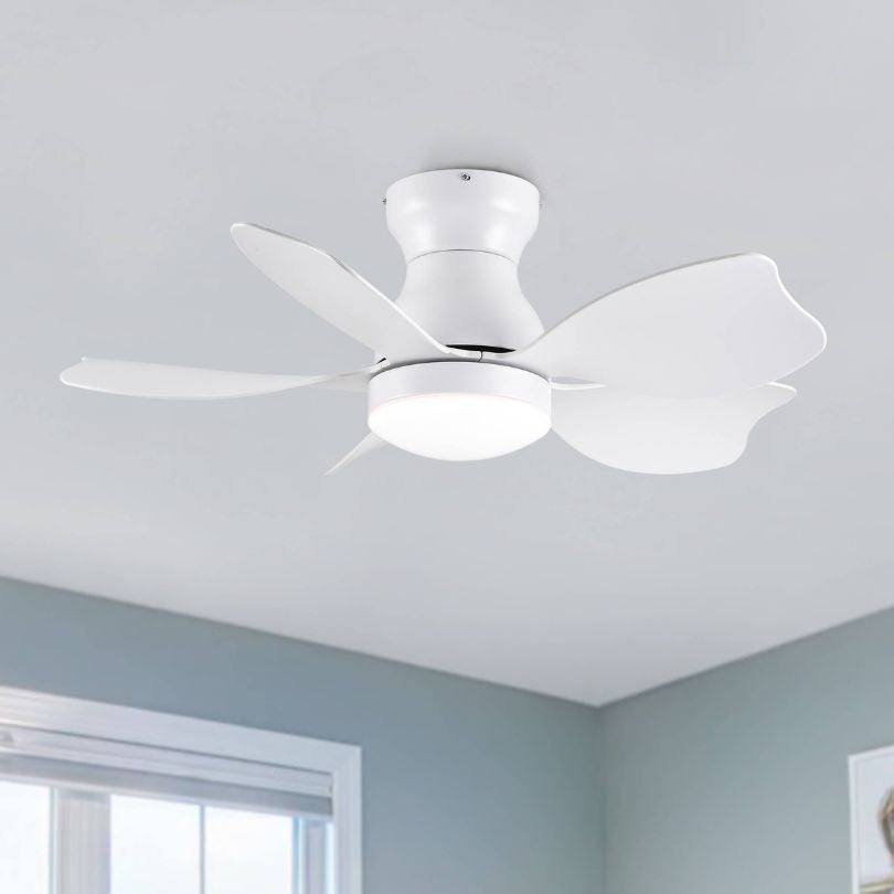 multipurpose ceiling fan with LED