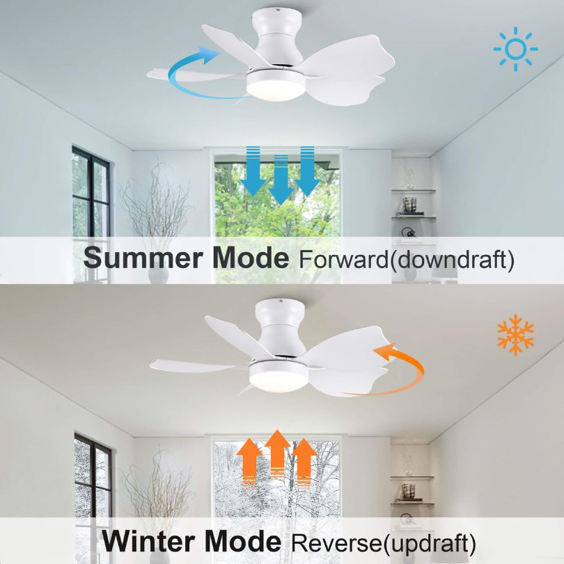 multipurpose ceiling fan with LED