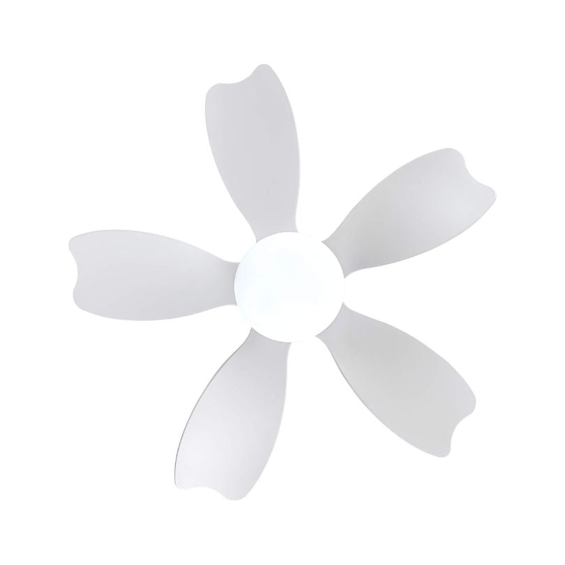 multipurpose ceiling fan with LED