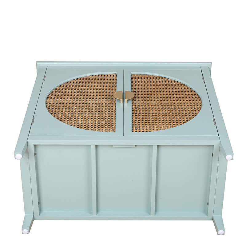 31.5" Light Green Rattan Cabinet 