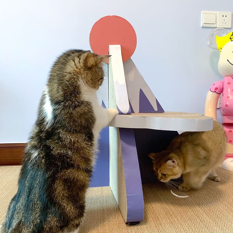 2 cats playing around the Scratching board 