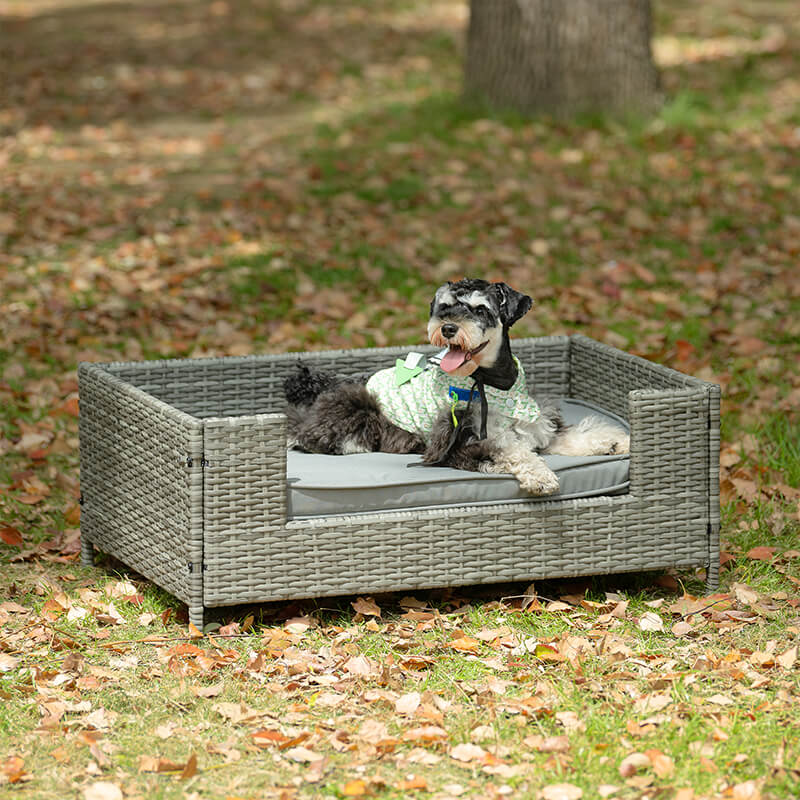 35" Dark Gray PE Wicker Dog Bed With Cushion