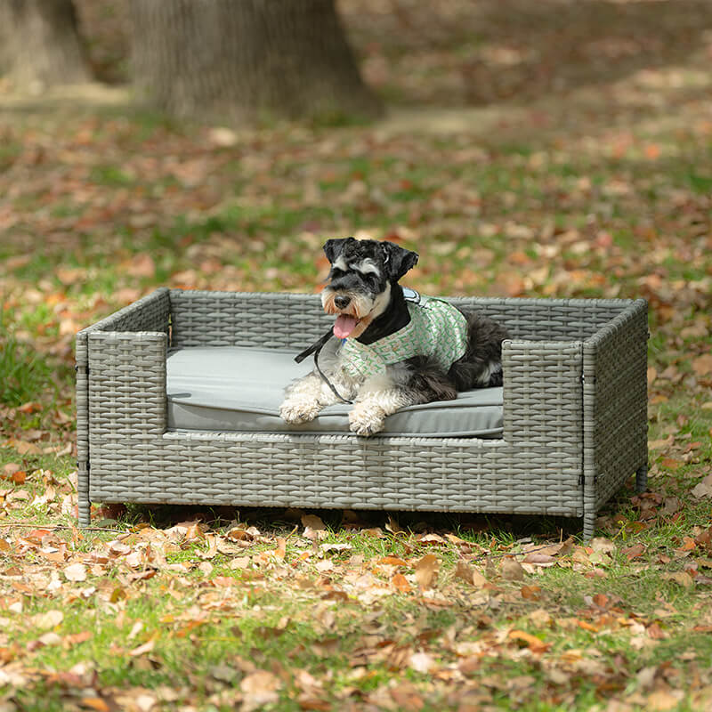 35" Dark Gray PE Wicker Dog Bed With Cushion