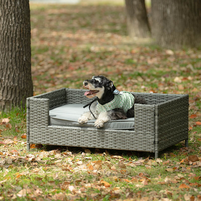 35" Dark Gray PE Wicker Dog Bed With Cushion