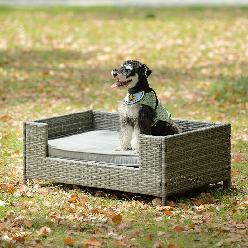 35" Dark Gray PE Wicker Dog Bed With Cushion