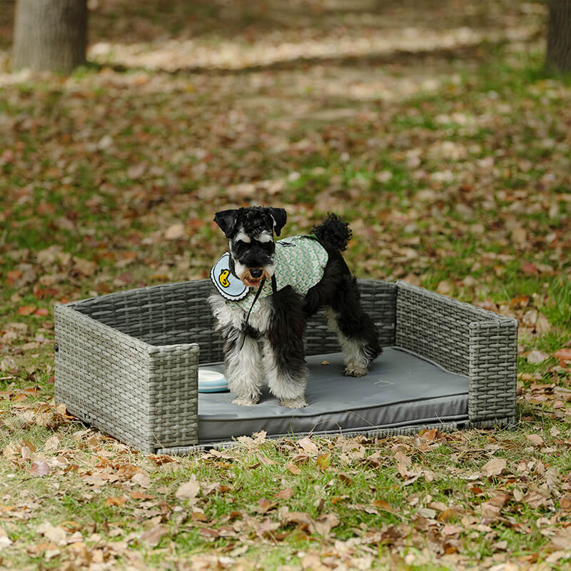 35" Dark Gray Rattan Pet Bed With Cushion