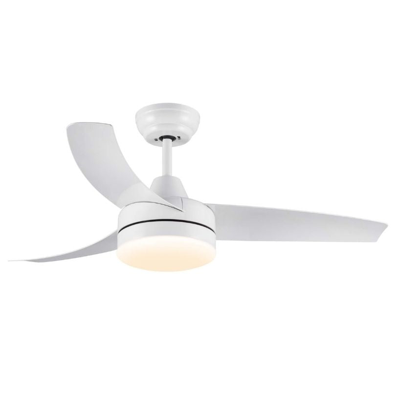 multipurpose ceiling fan with LED