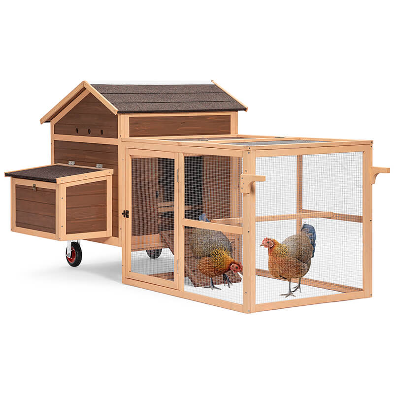 chicken house