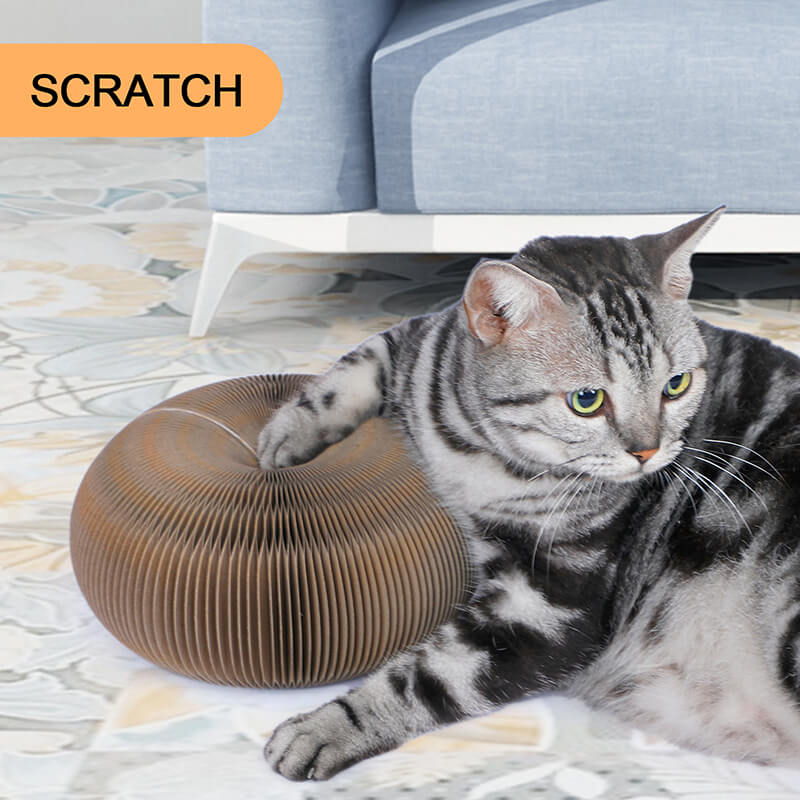 Brown Interactive Retractable Cat Scratching Board with a Ball - 4.5" x 4"