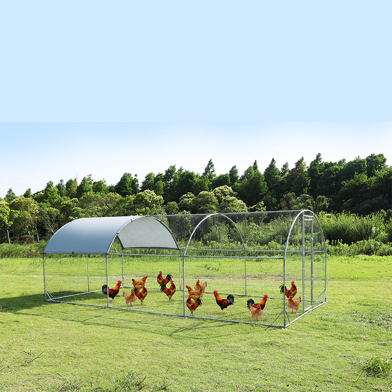 Silver Metal Plastic Net Chicken Coop