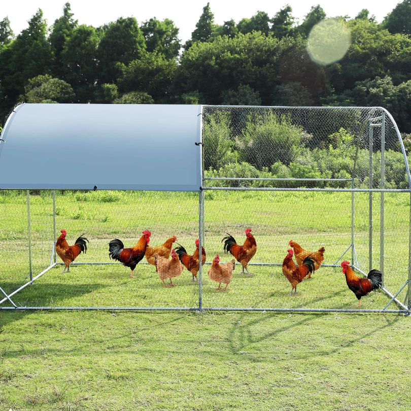 animal grazing cage